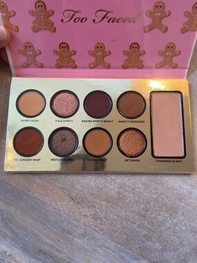 Too Faced Christmas Bake Shoppe eyeshadow ~ Pink Gingerbread Eyeshadow
